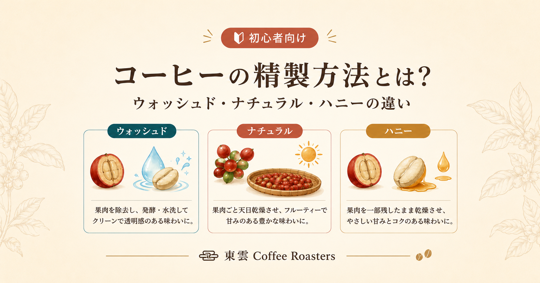 コーヒーの精製方法とは?ウォッシュド・ナチュラル・ハニーの違いを初心者向けに解説